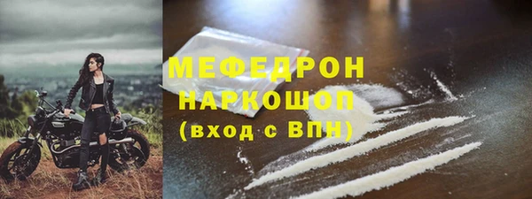 индика Богородск
