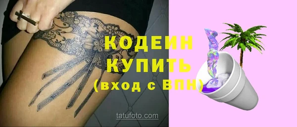 индика Богородск