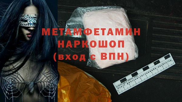 индика Богородск