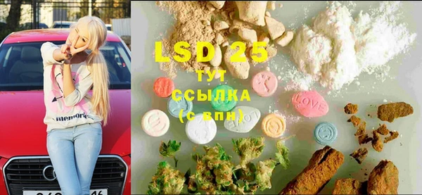 индика Богородск
