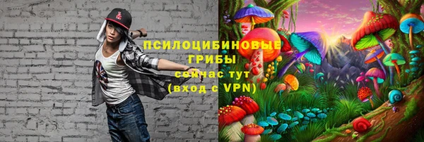 соль курить ск Богданович
